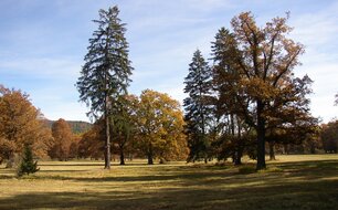 Zámecký park v Červeném Dvoře