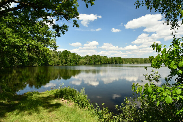 Rybník Staré jezero na Třeboňsku, vzniklý mezi lety 1520 a 1529, foto: Pavel Hájek, 2022