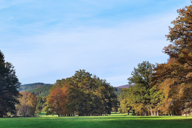 Zámecký park Červený Dvůr, 2024