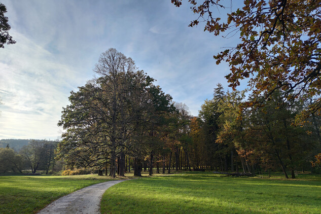 Zámecký park Červený Dvůr, 2024