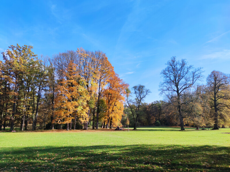 Zámecký park Červený Dvůr, 2024