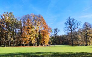 Zámecký park Červený Dvůr, 2024