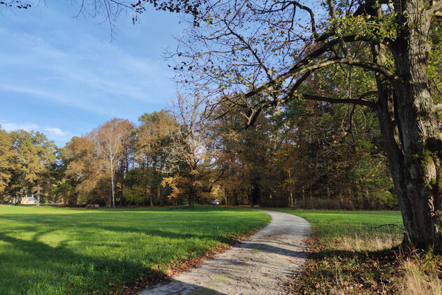 Zámecký park Červený Dvůr, 2024