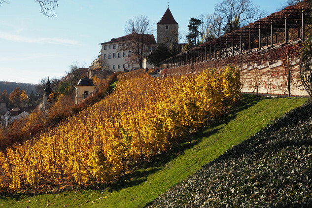 Méně známý pohled na Hrad, Lobkovický palác a Černou věž